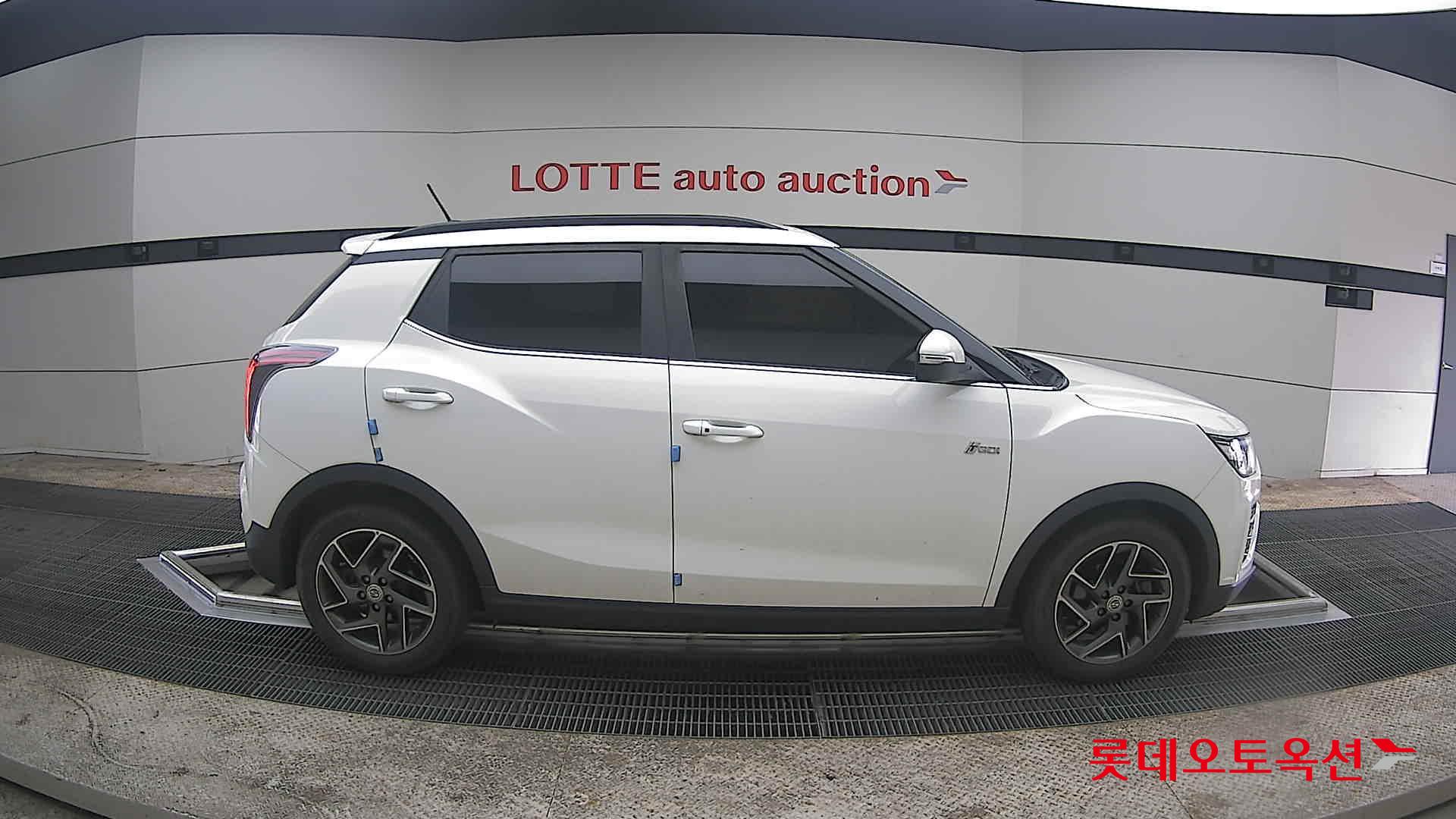 سانغ يونغ تيفولي