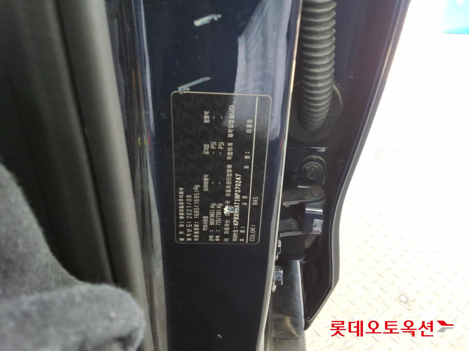 سانغ يونغ تيفولي