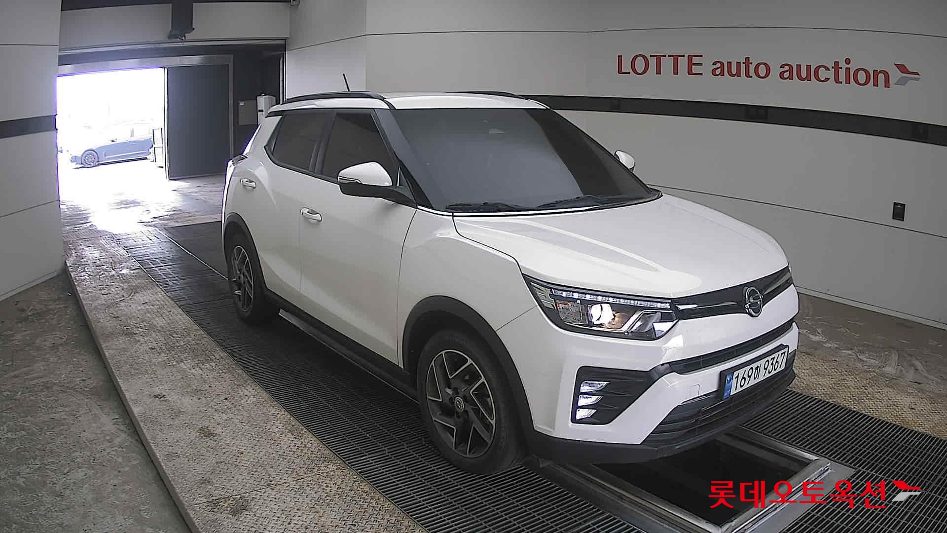 سانغ يونغ تيفولي