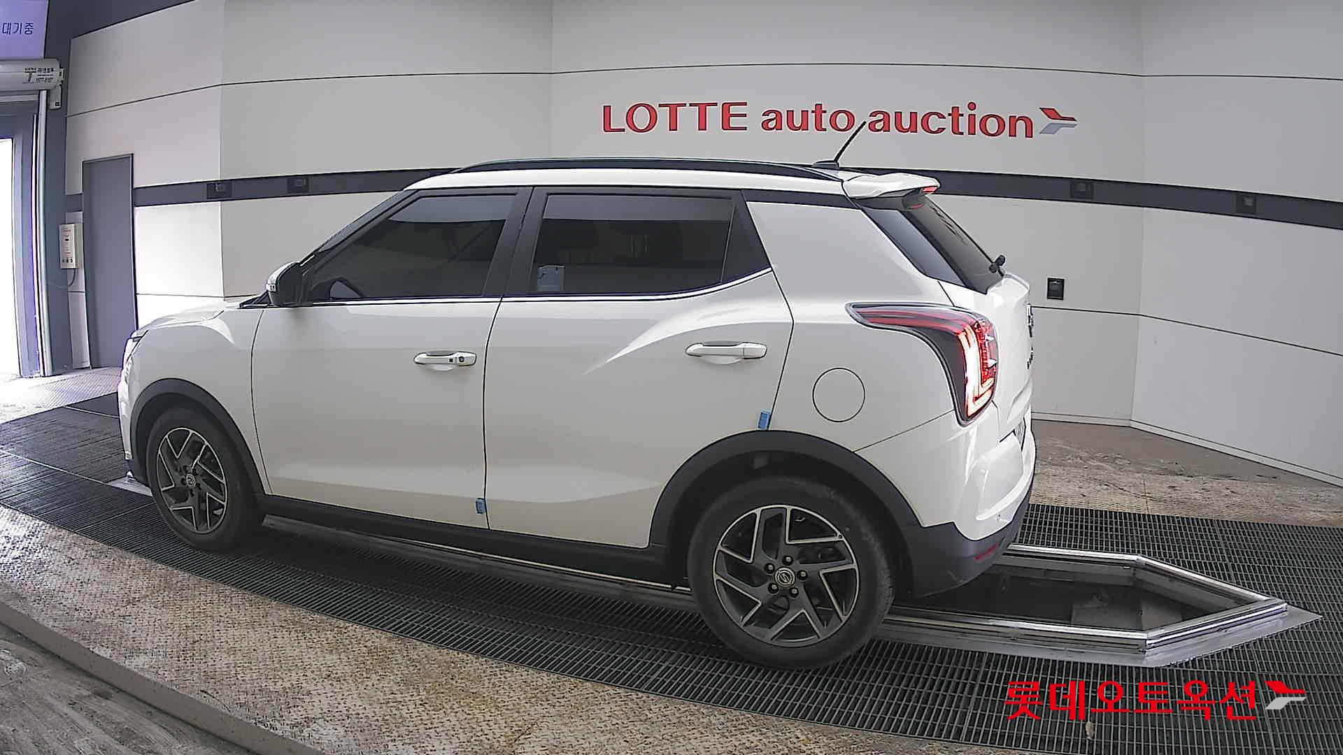 سانغ يونغ تيفولي