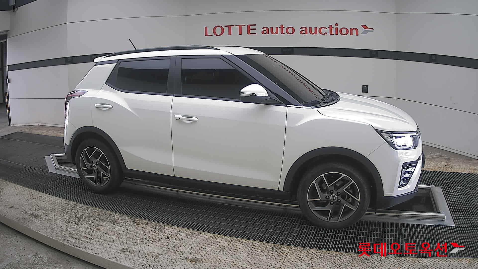 سانغ يونغ تيفولي