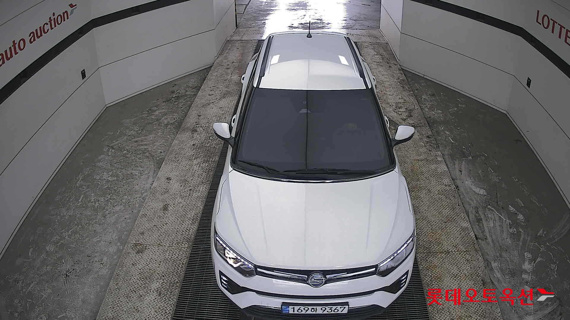 سانغ يونغ تيفولي