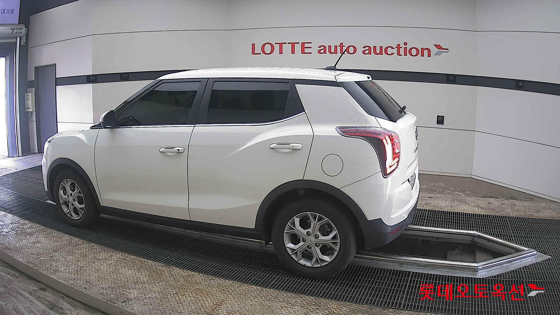 سانغ يونغ تيفولي