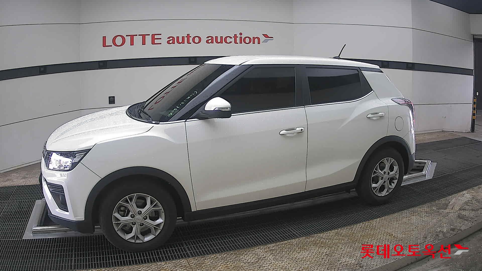 سانغ يونغ تيفولي