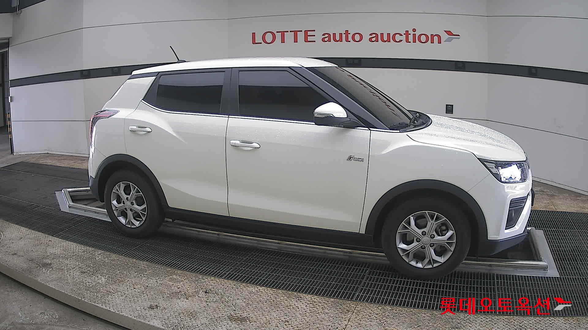 سانغ يونغ تيفولي