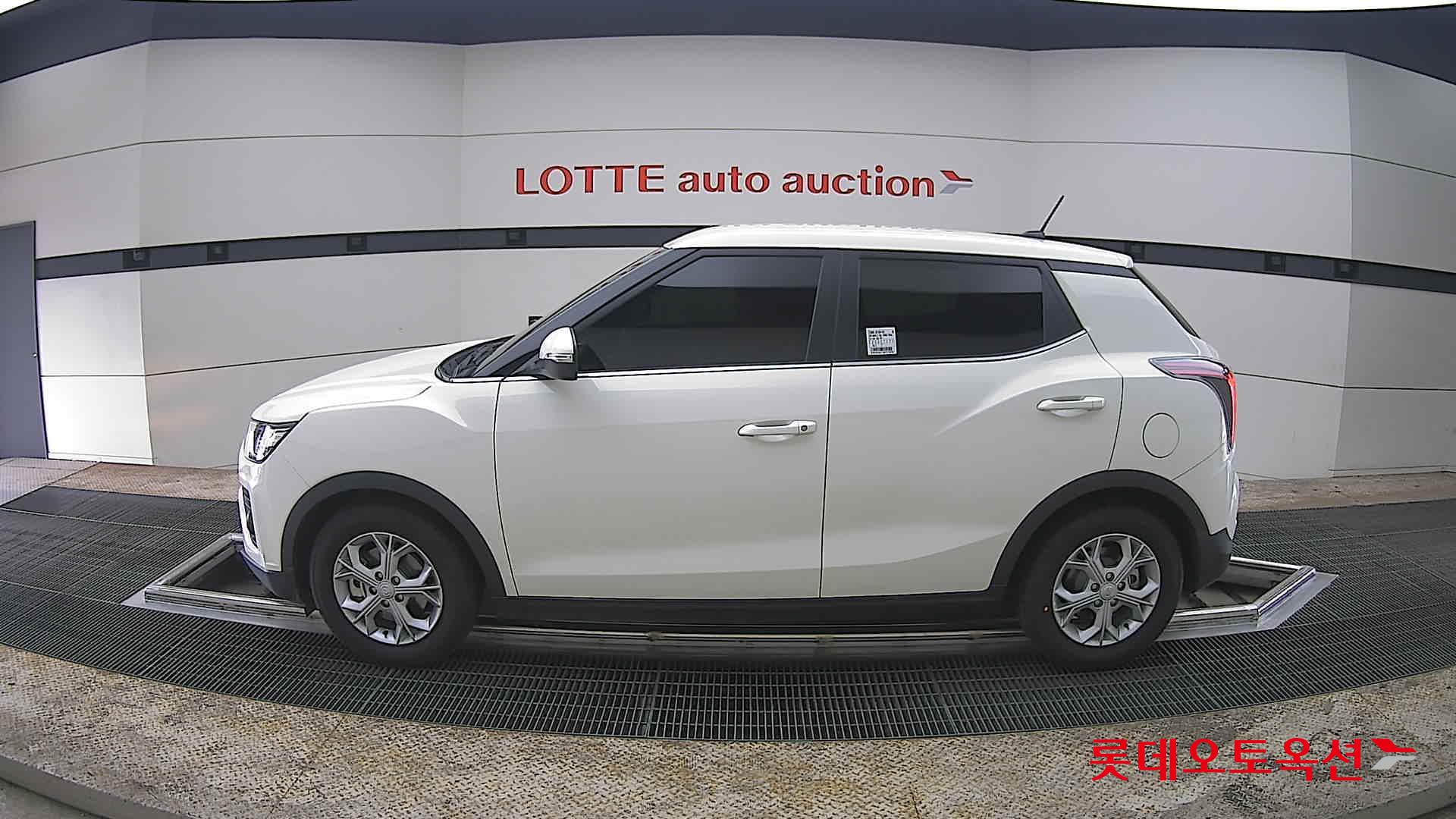 سانغ يونغ تيفولي