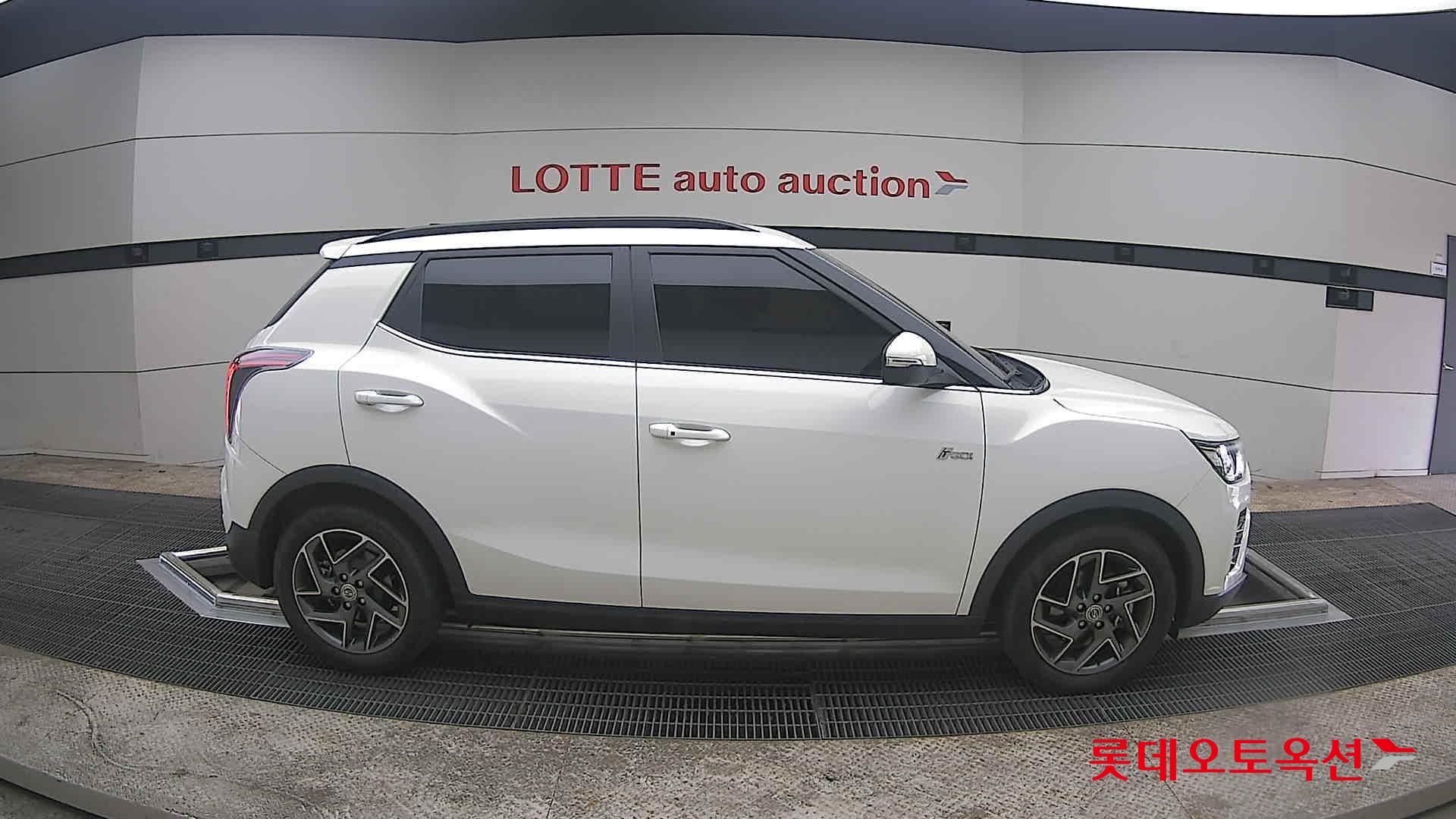 سانغ يونغ تيفولي