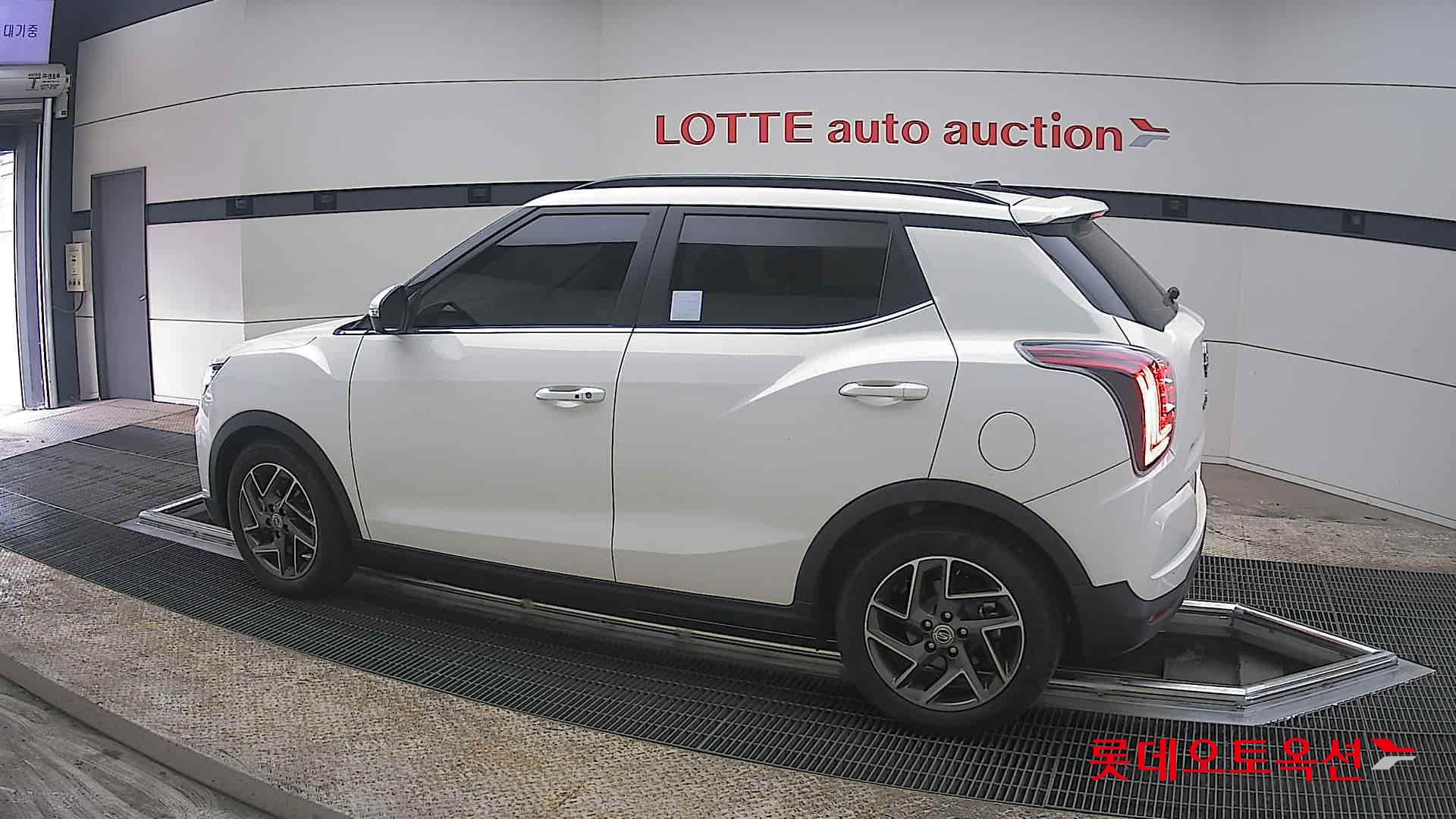 سانغ يونغ تيفولي