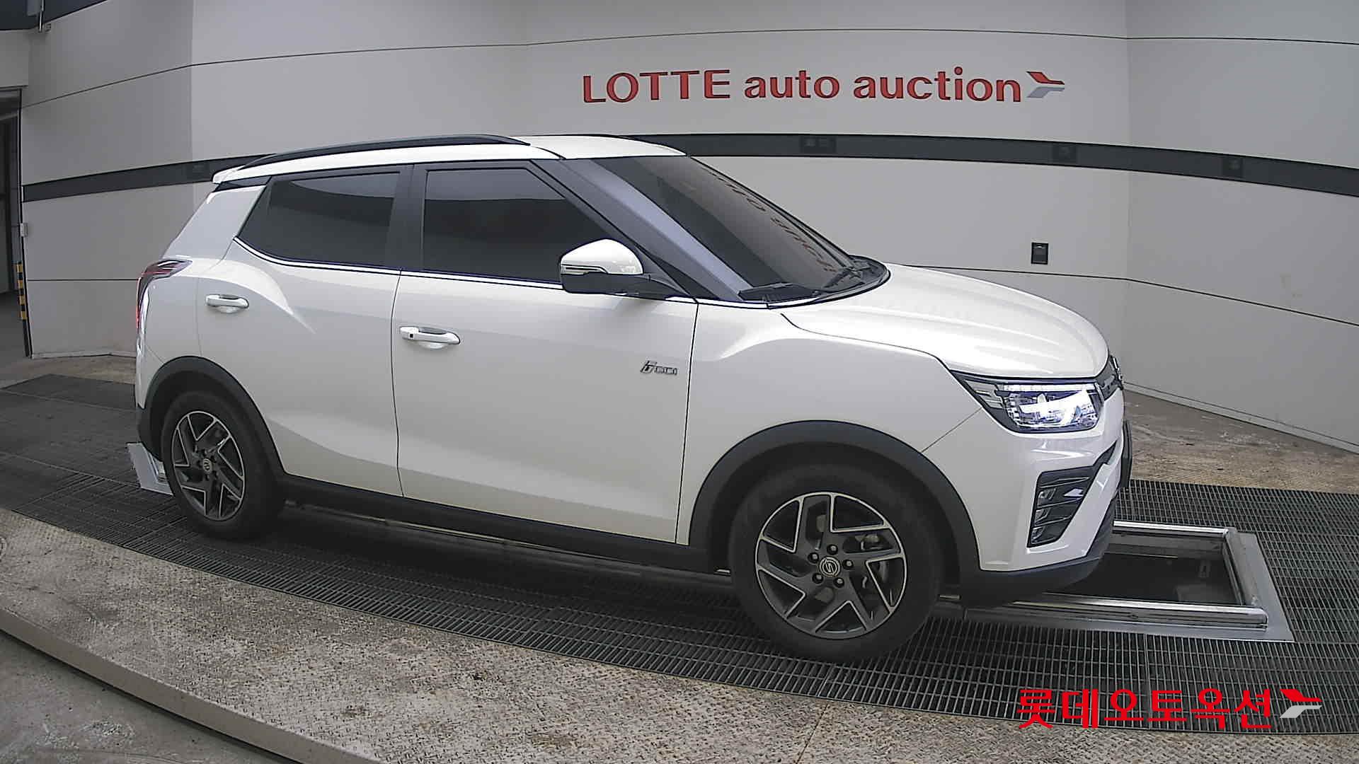 سانغ يونغ تيفولي