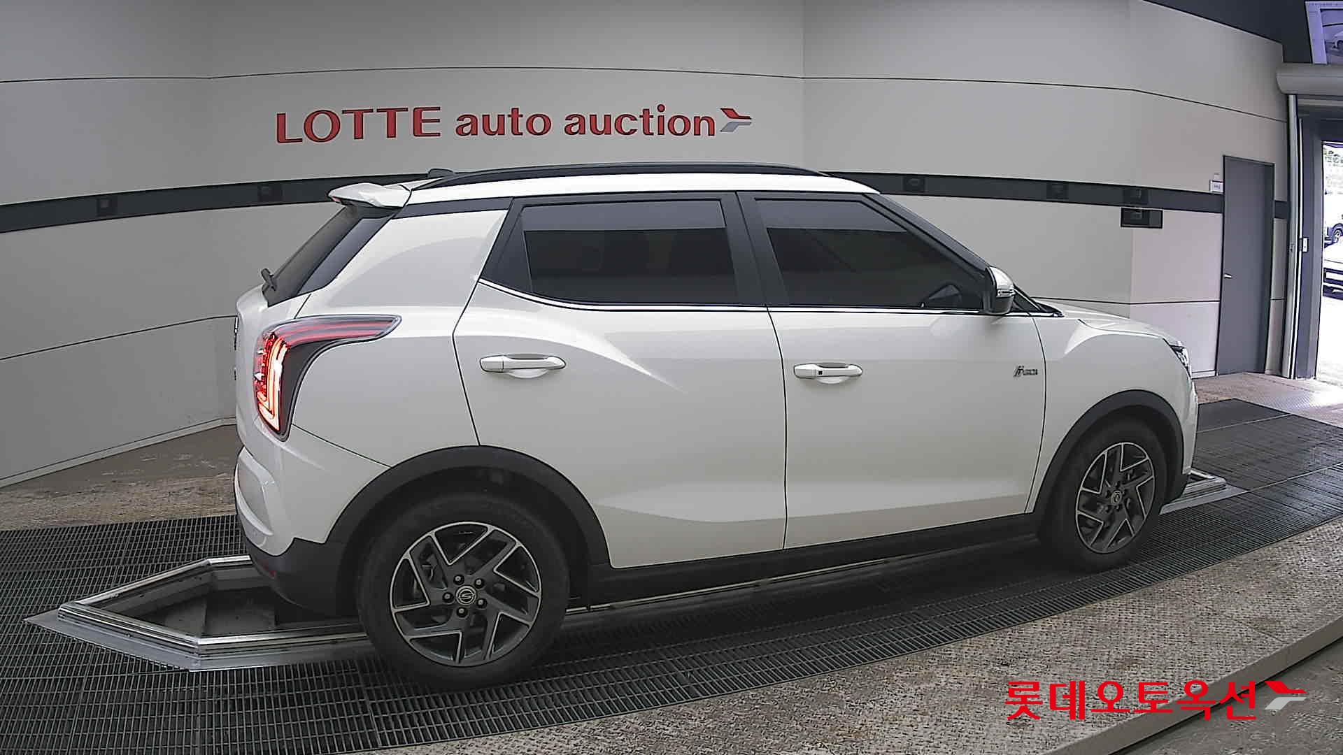 سانغ يونغ تيفولي