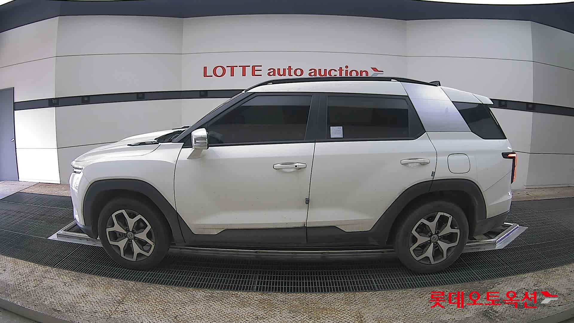 سانغ يونغ توريس