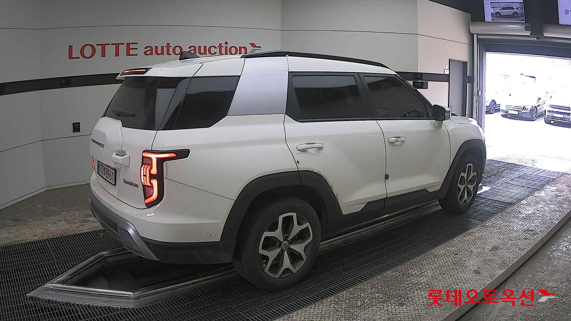 سانغ يونغ توريس