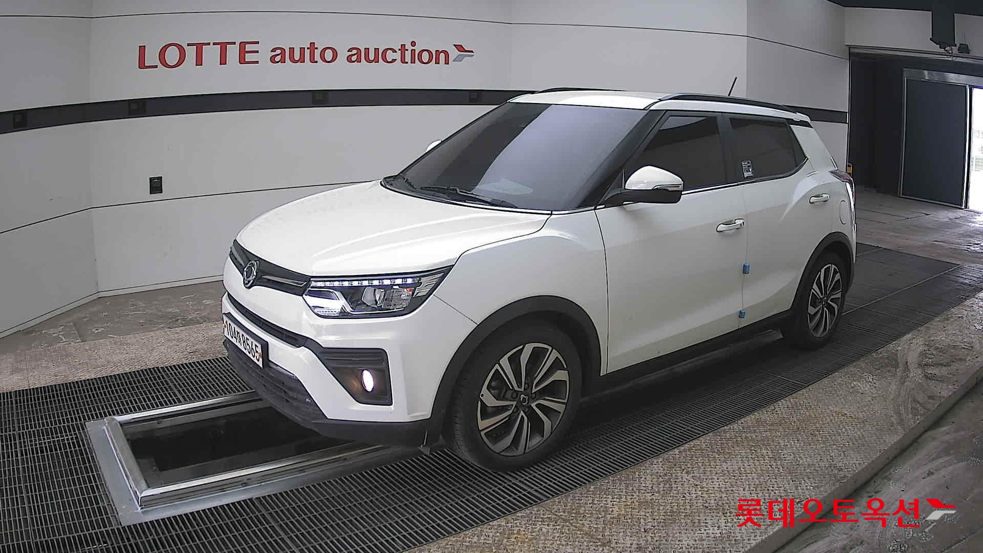 سانغ يونغ تيفولي