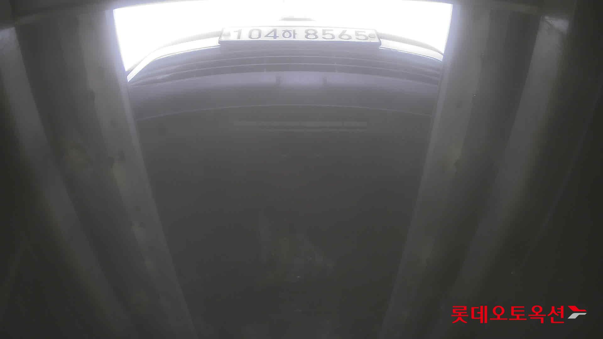 سانغ يونغ تيفولي