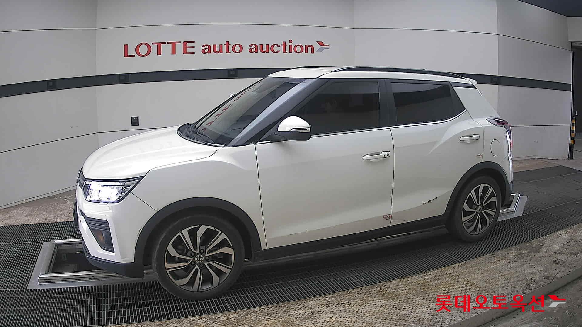 سانغ يونغ تيفولي