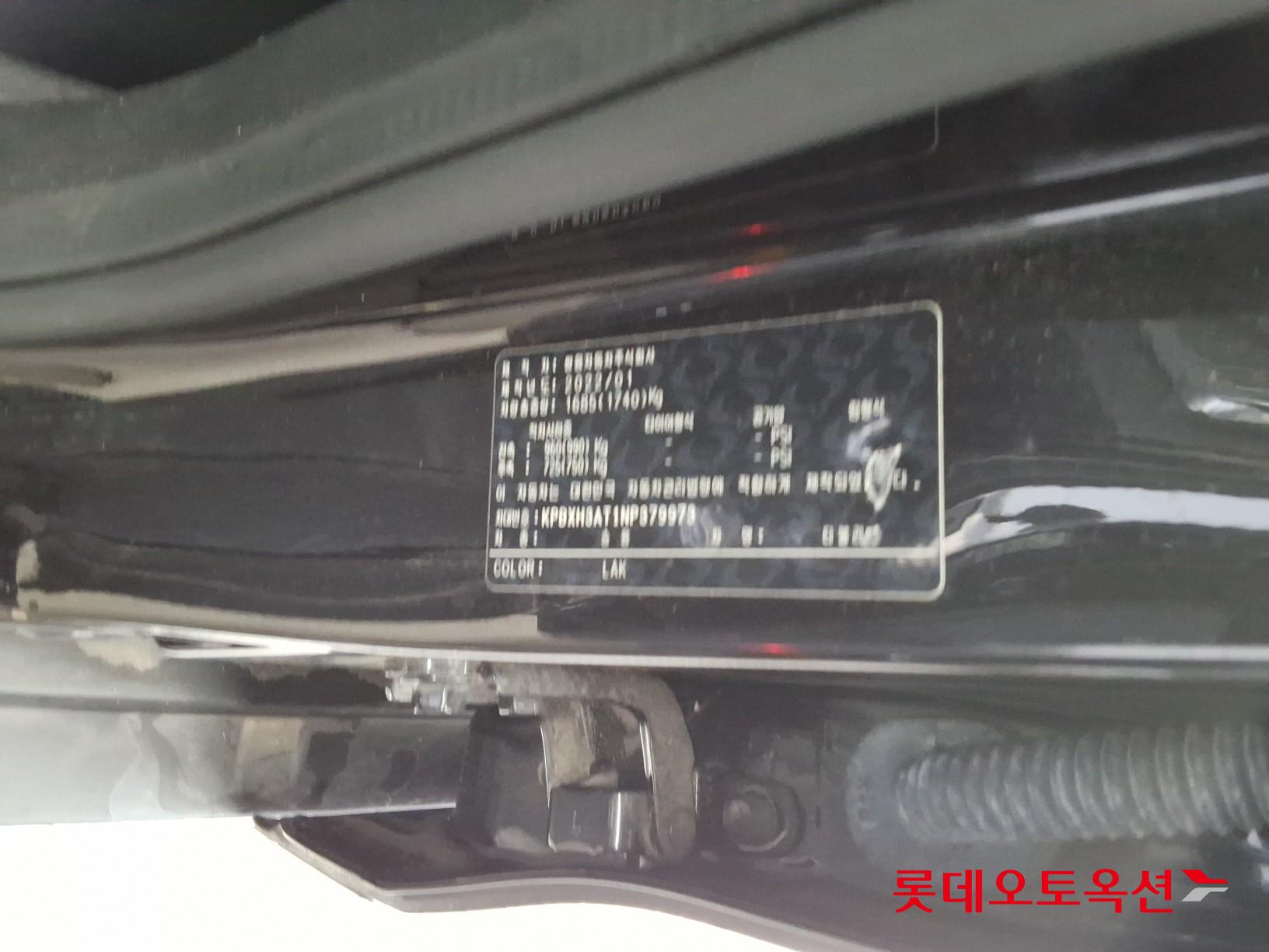 سانغ يونغ تيفولي