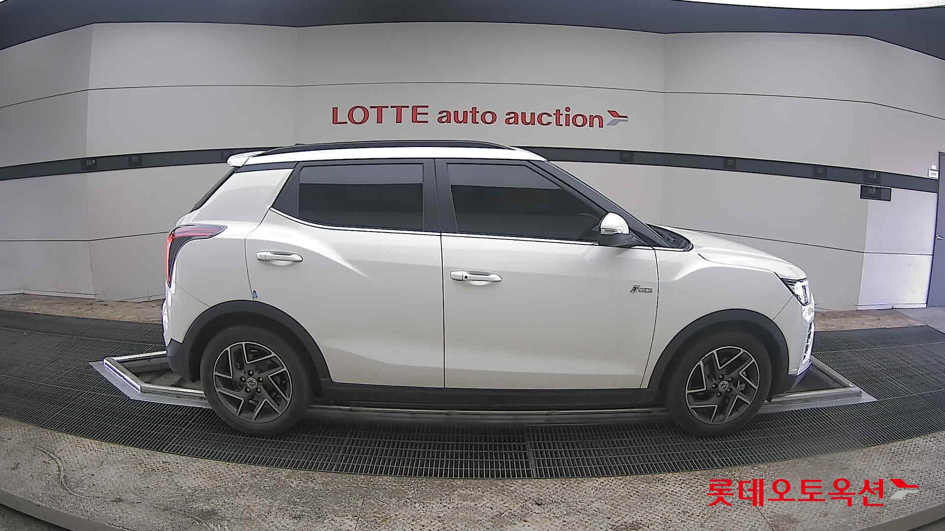 سانغ يونغ تيفولي