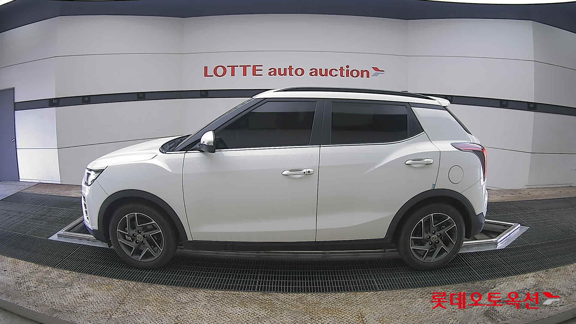 سانغ يونغ تيفولي