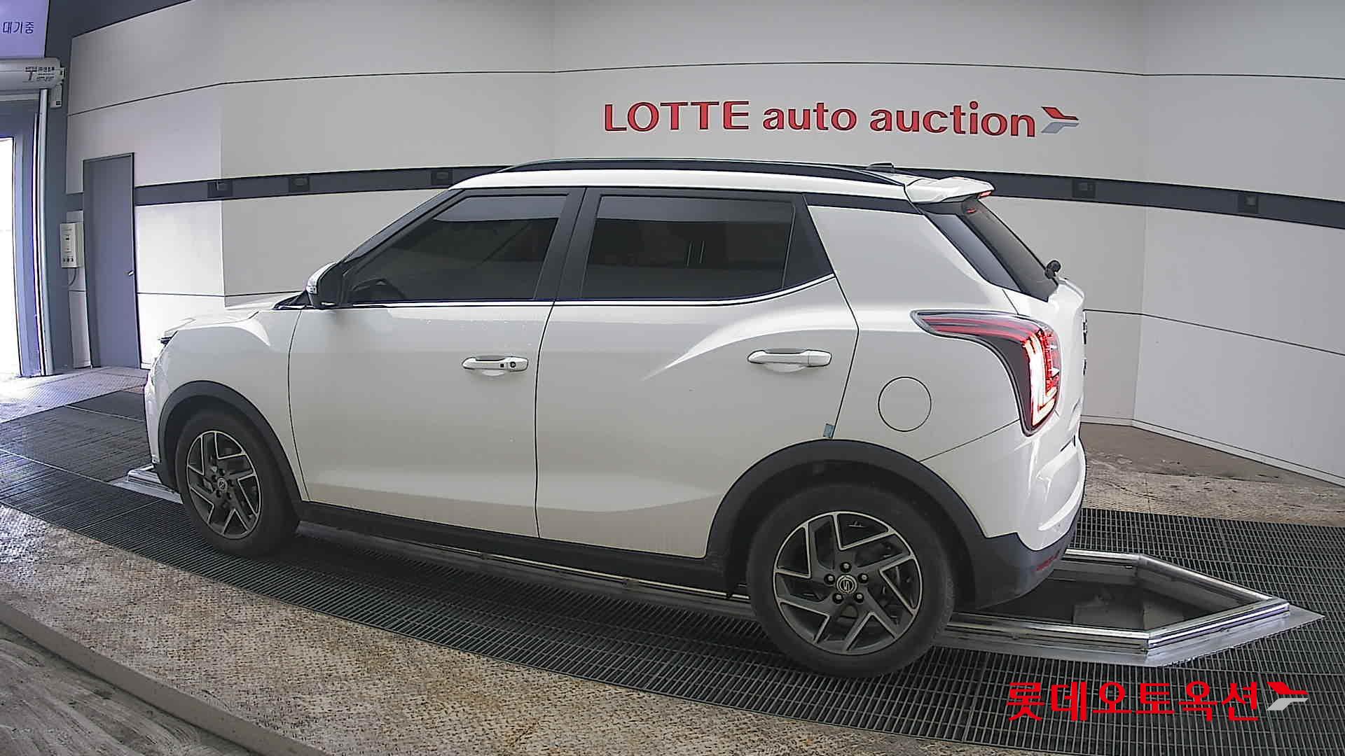 سانغ يونغ تيفولي