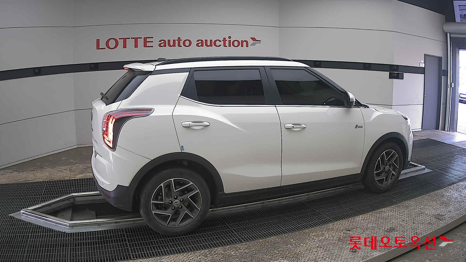 سانغ يونغ تيفولي