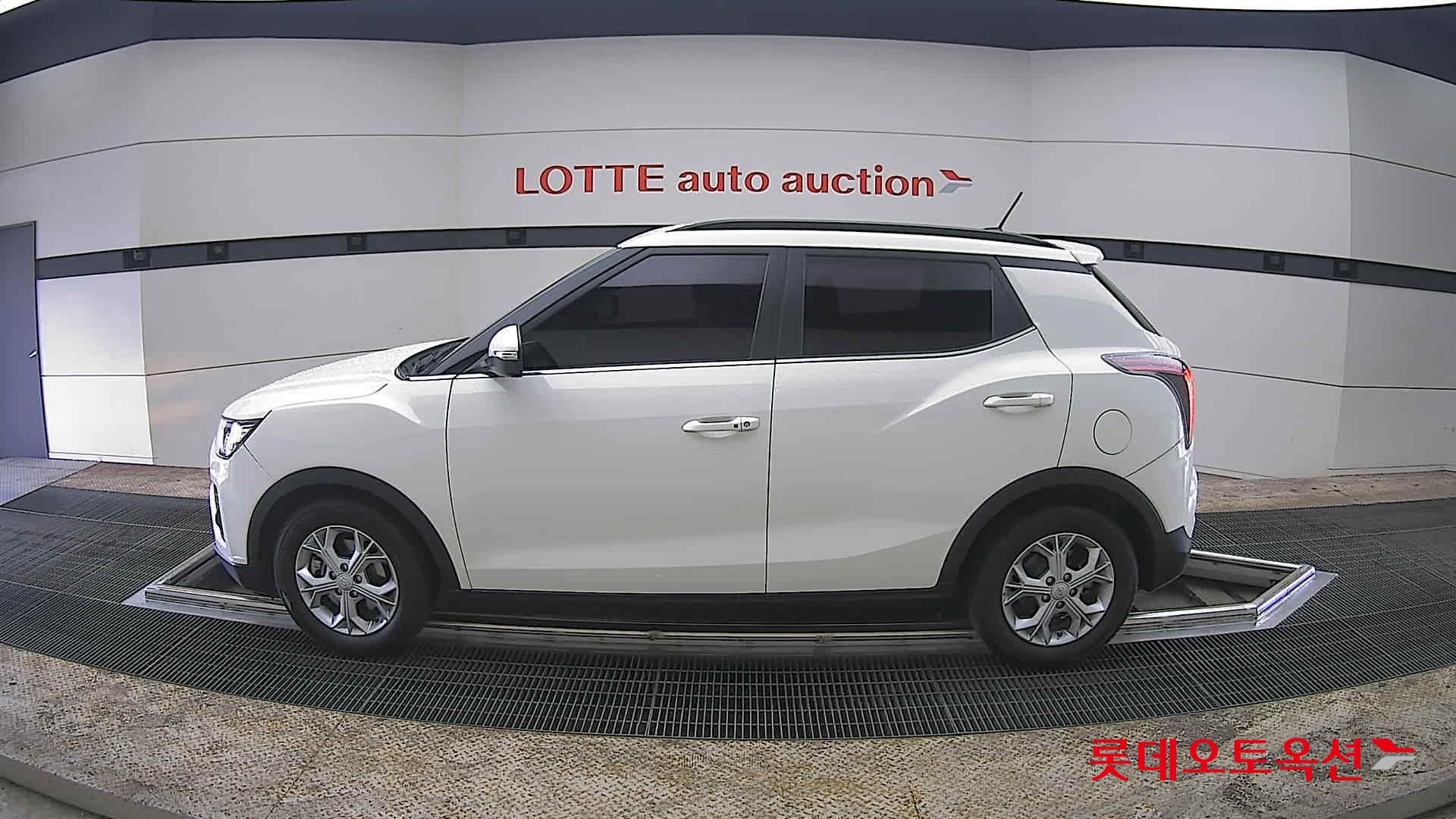 سانغ يونغ تيفولي