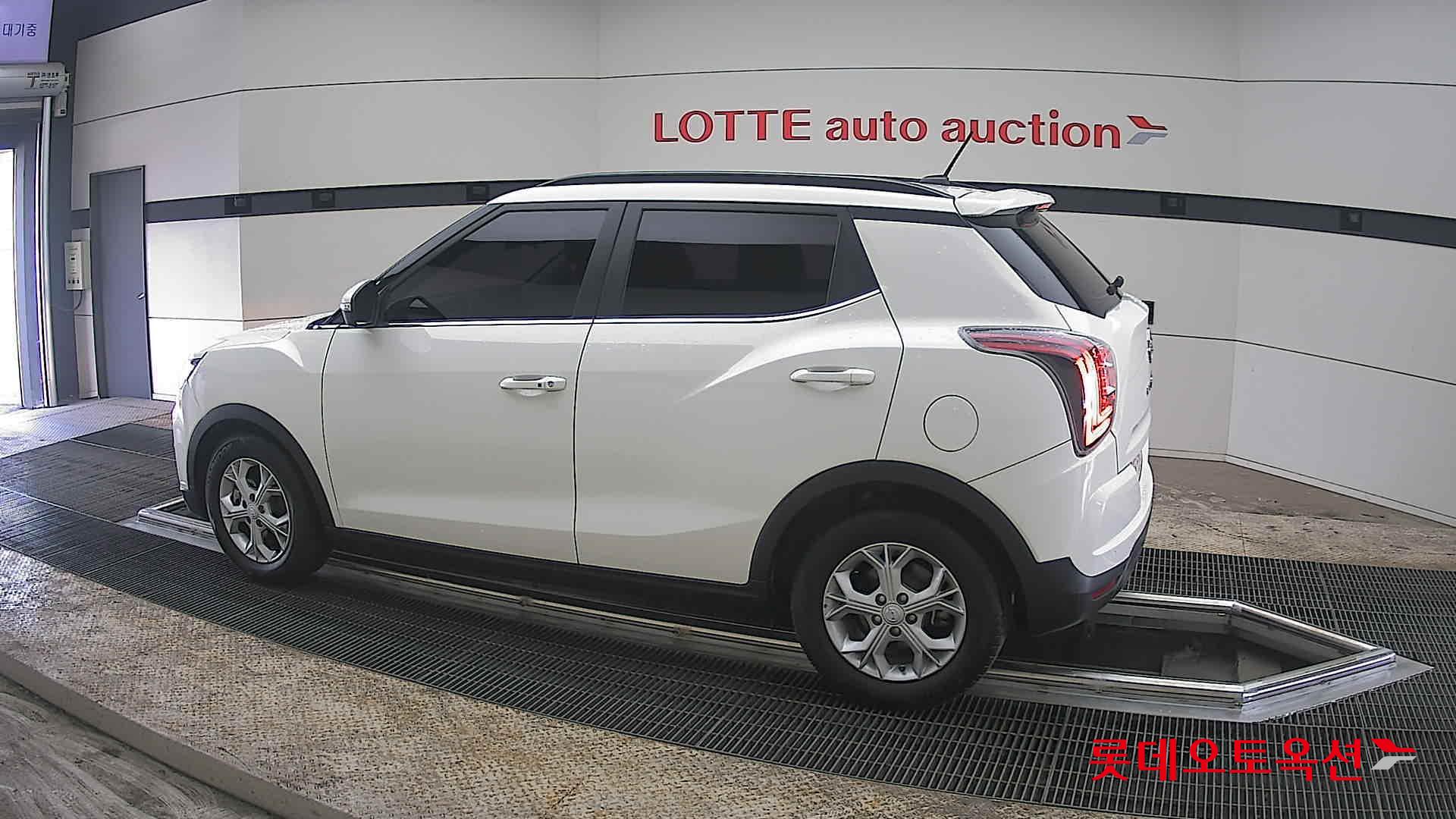 سانغ يونغ تيفولي