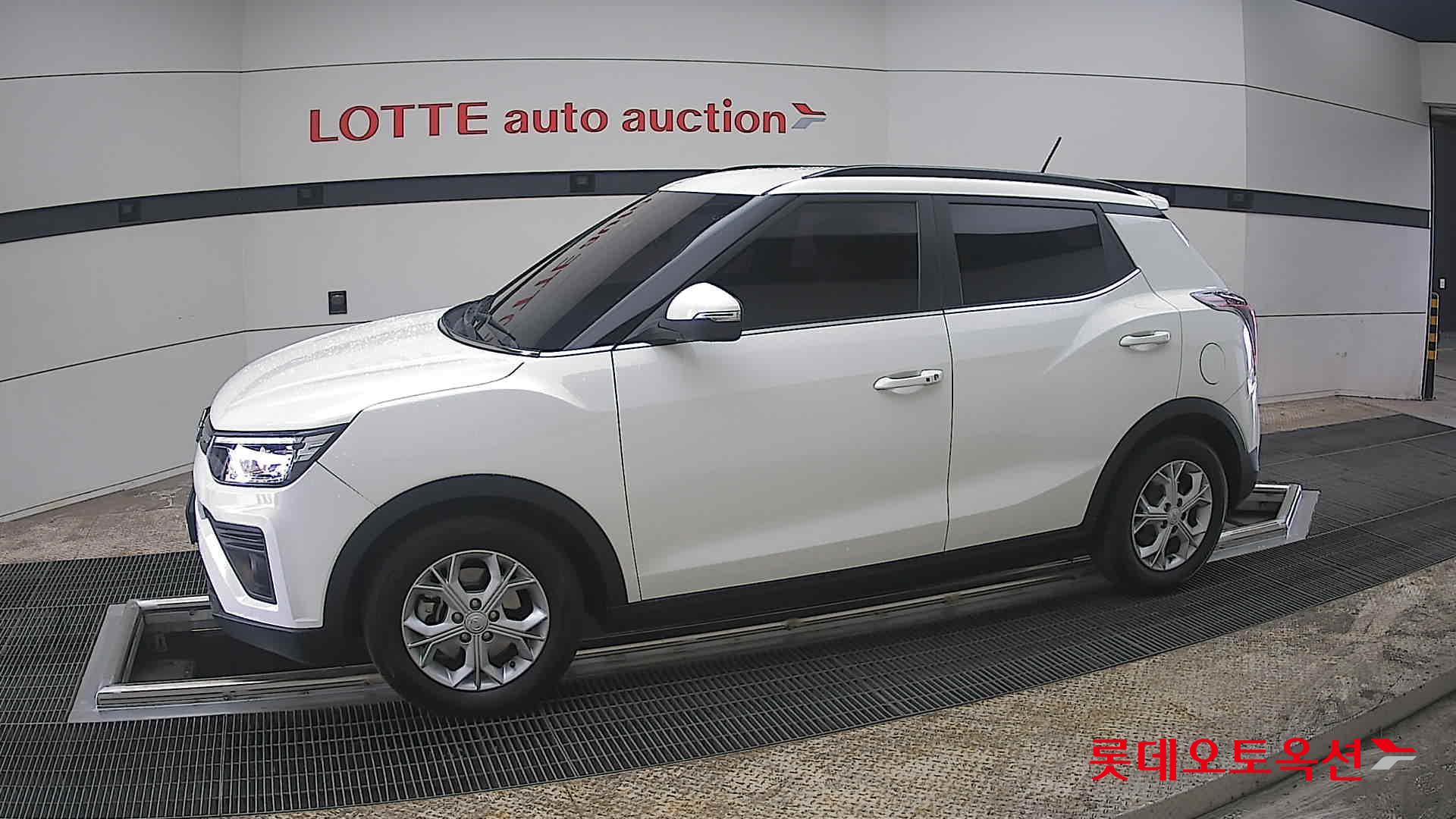 سانغ يونغ تيفولي