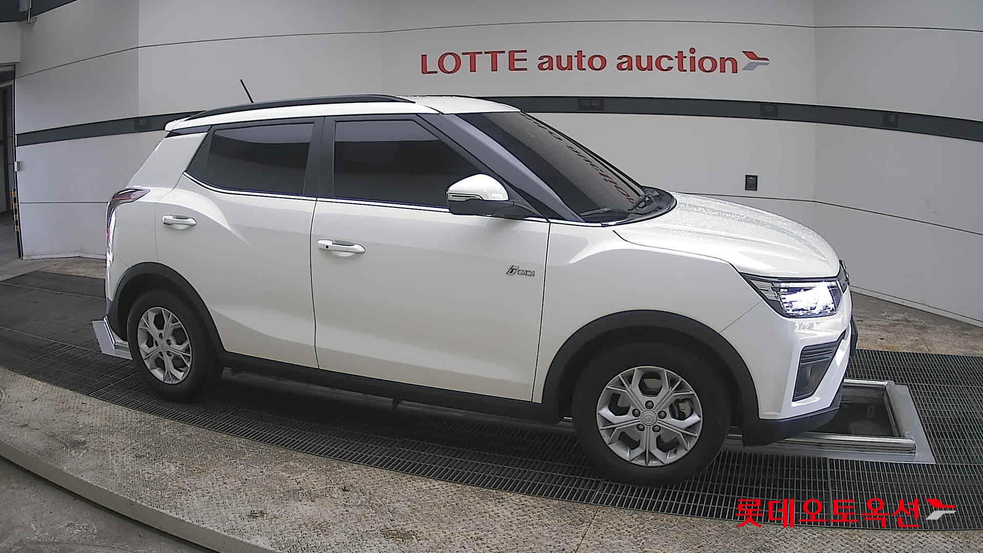 سانغ يونغ تيفولي