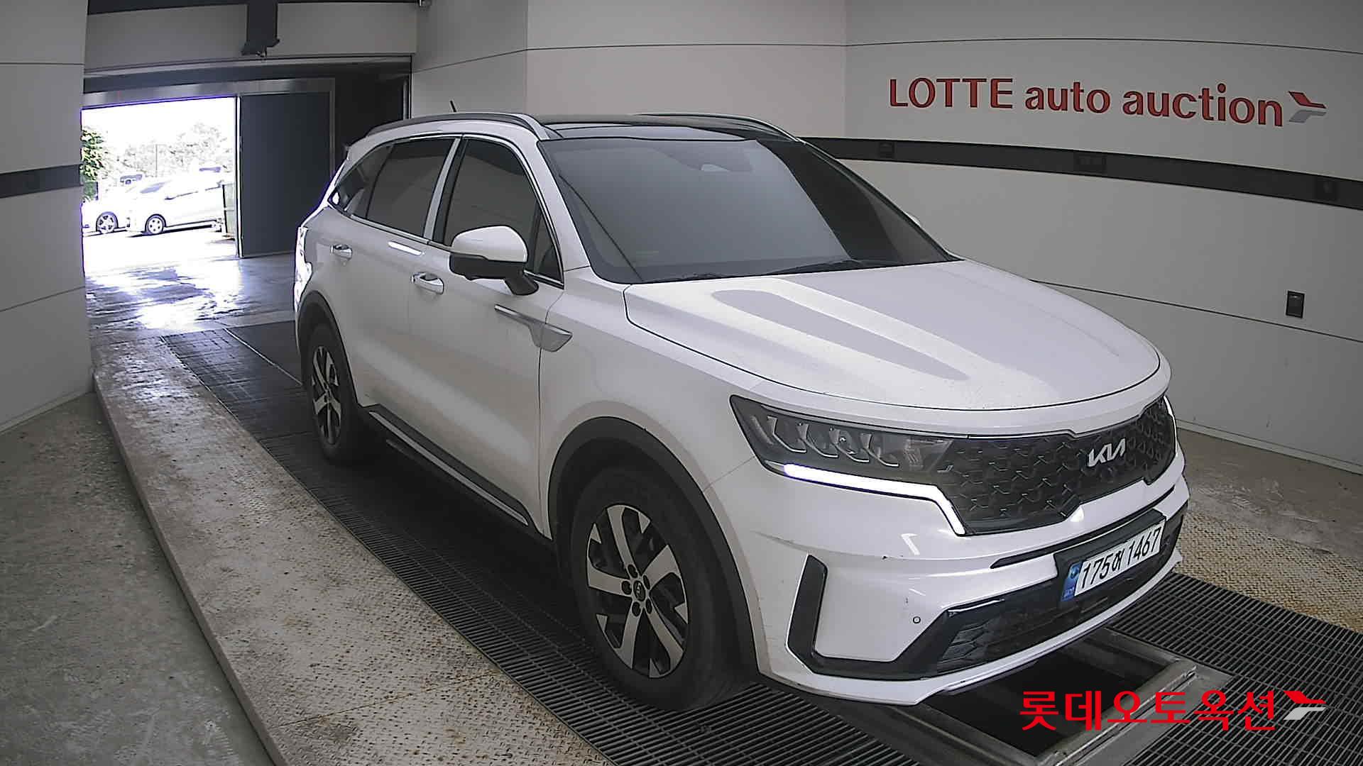 2023 - kia sorento