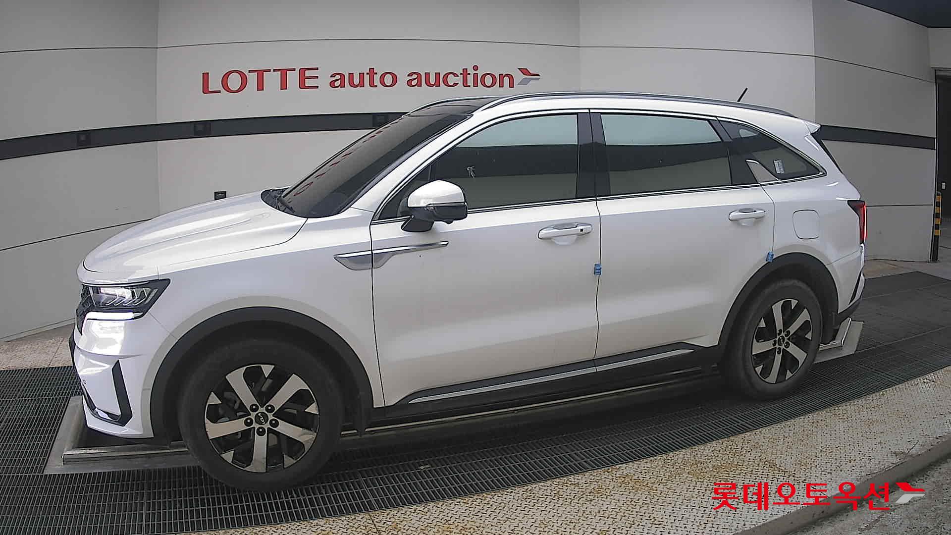 2023 - kia sorento
