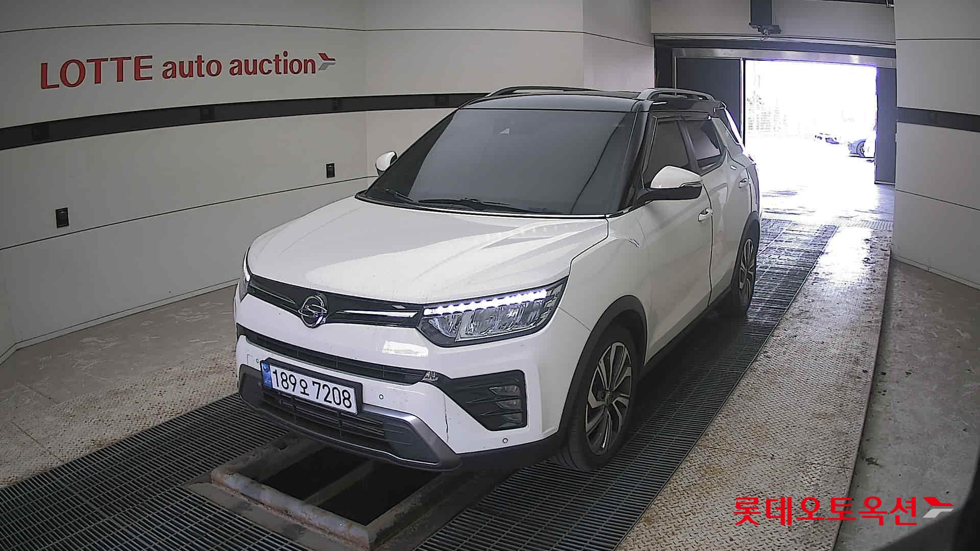 سانغ يونغ تيفولي