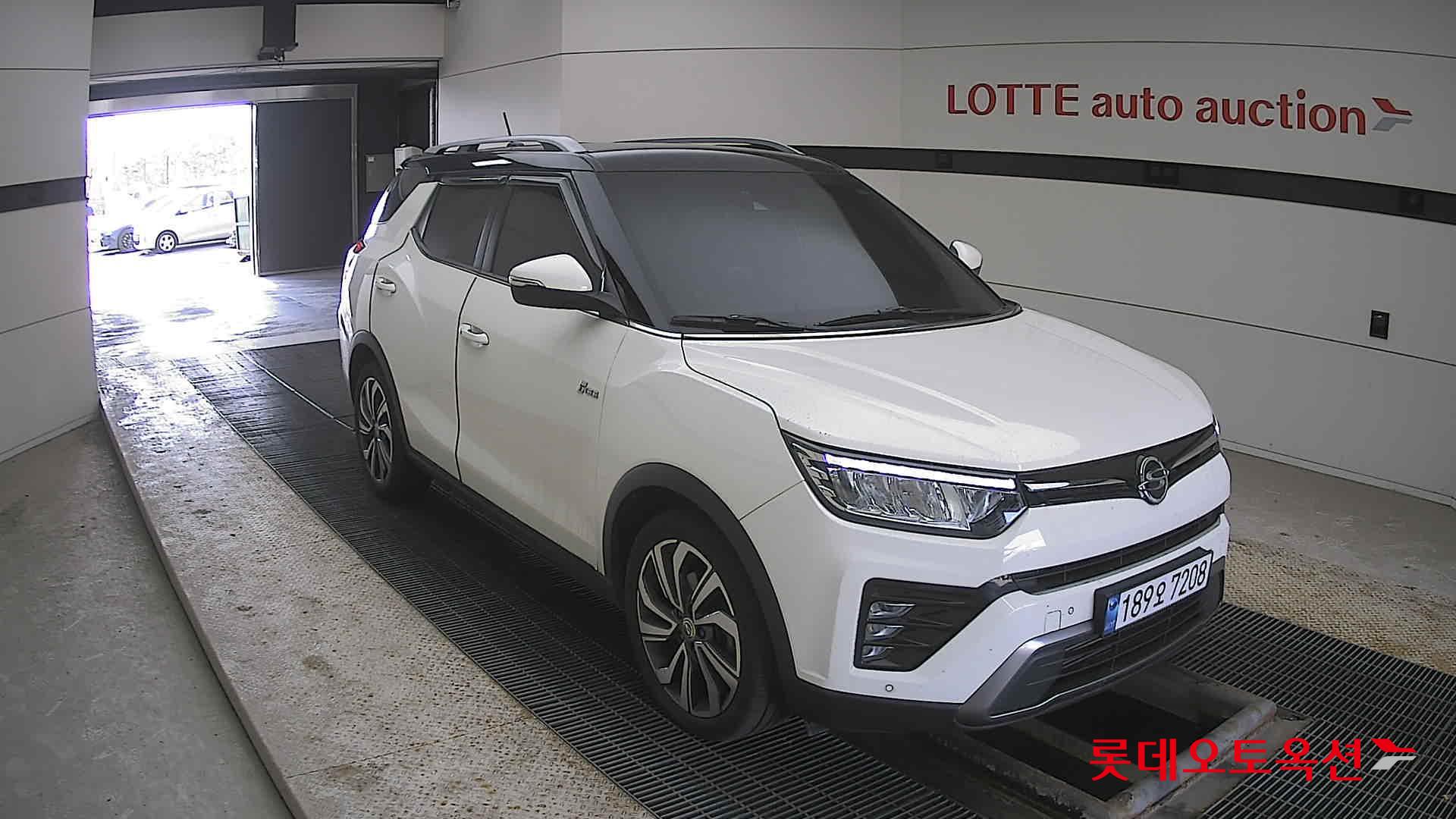 سانغ يونغ تيفولي