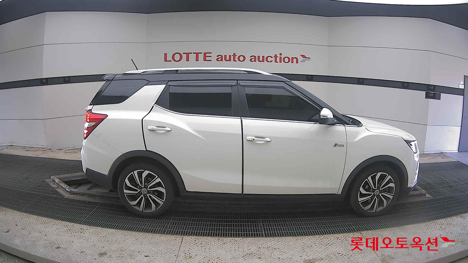 سانغ يونغ تيفولي