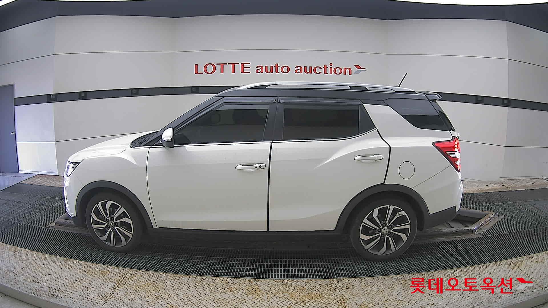 سانغ يونغ تيفولي