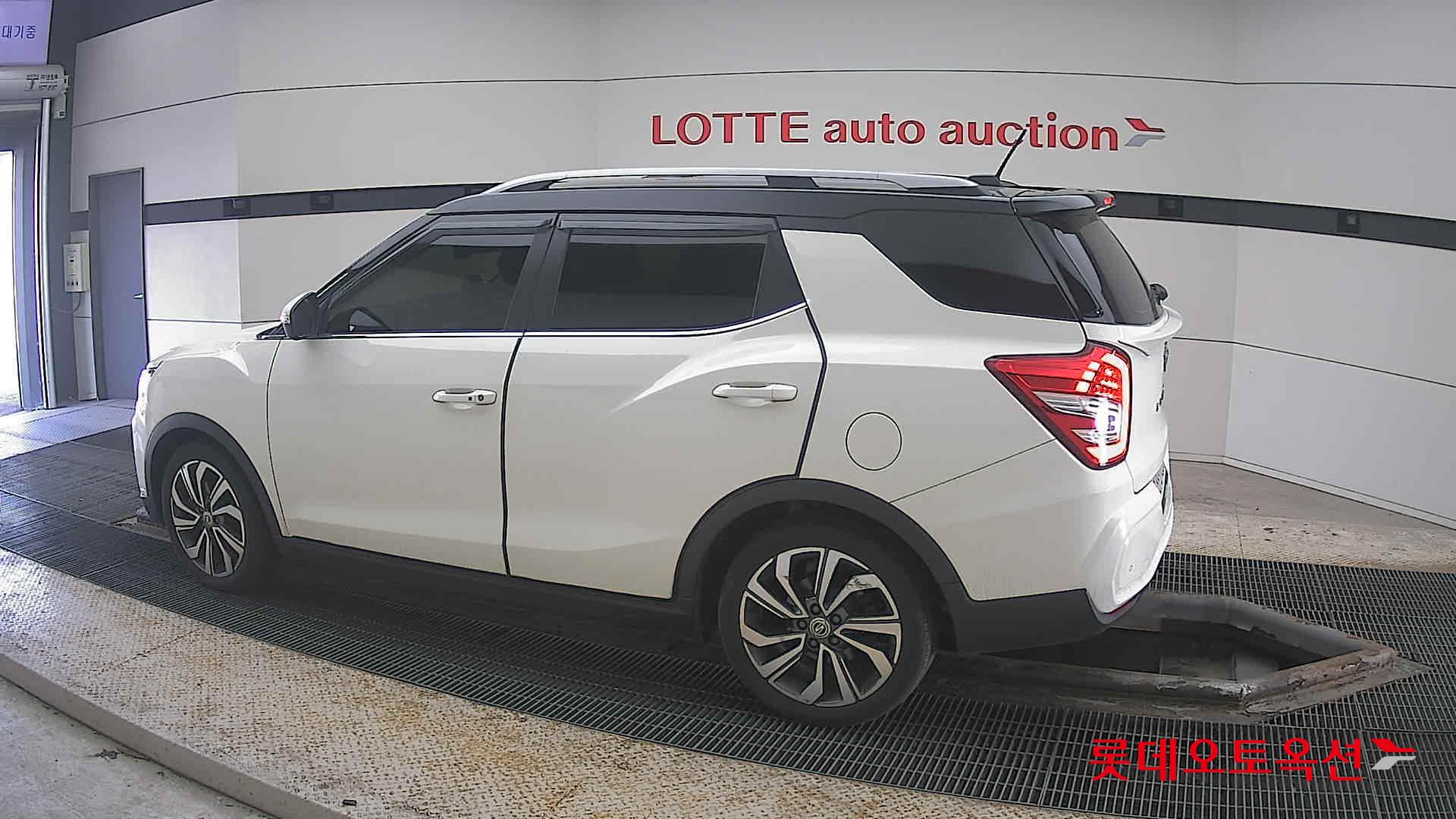 سانغ يونغ تيفولي