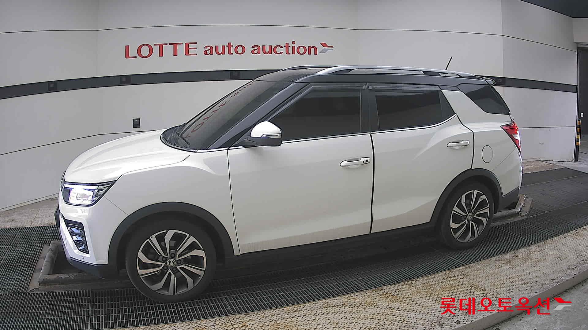 سانغ يونغ تيفولي