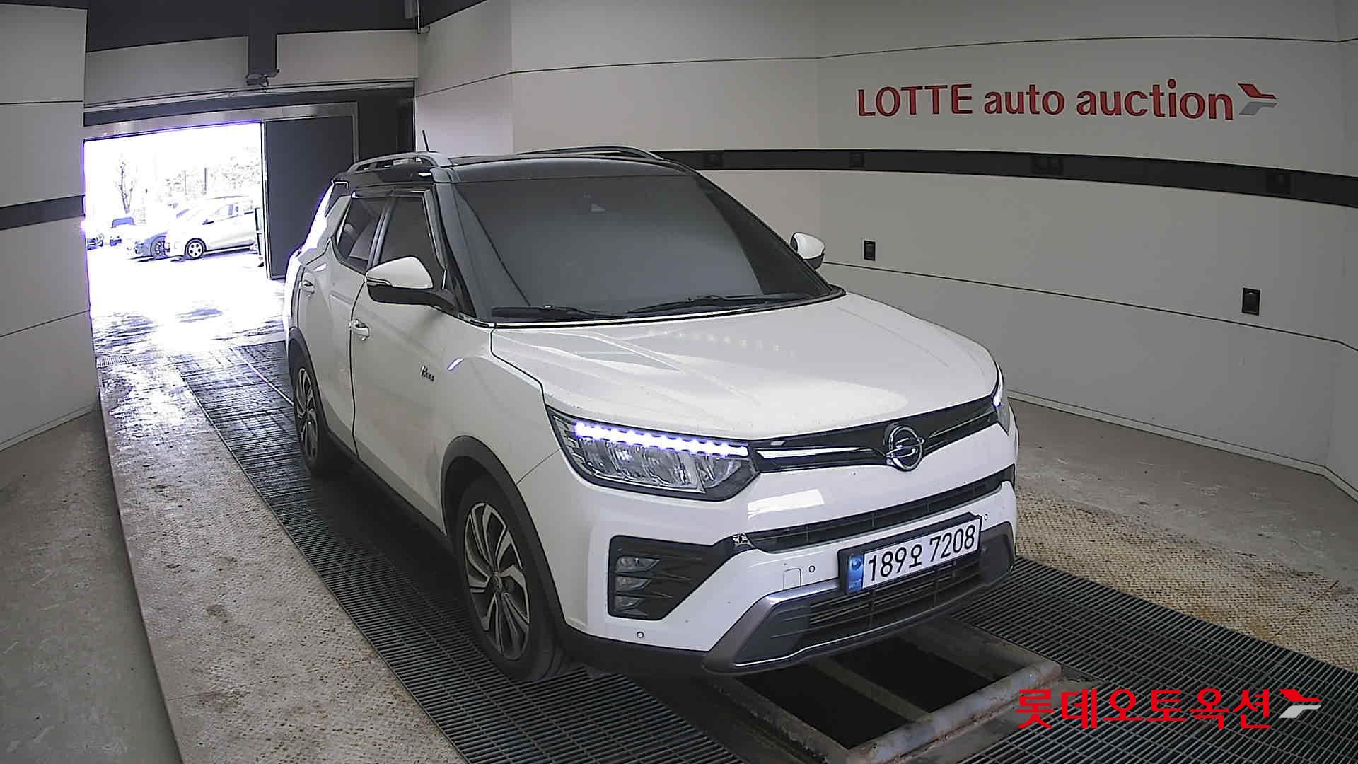 سانغ يونغ تيفولي