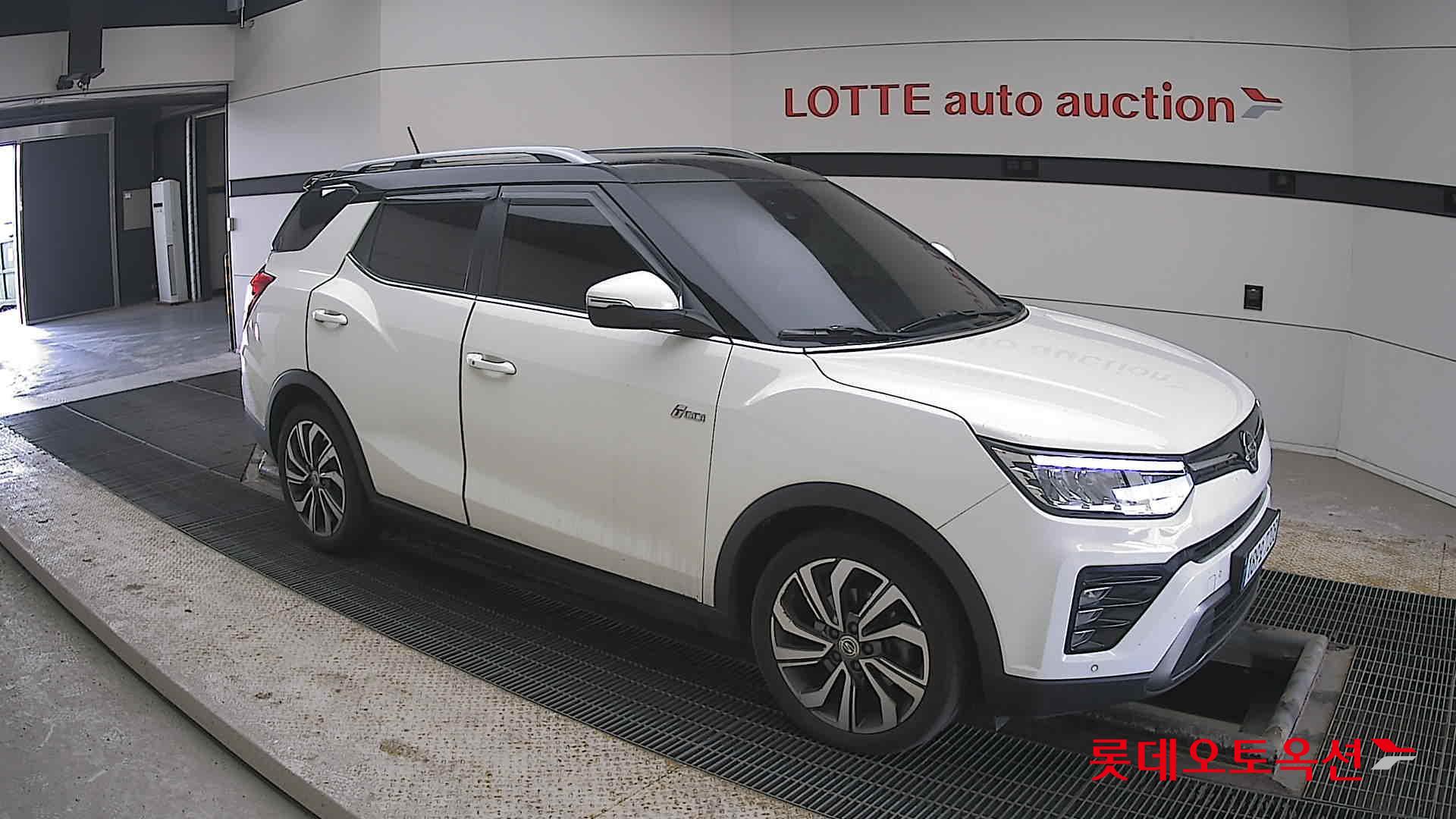 سانغ يونغ تيفولي