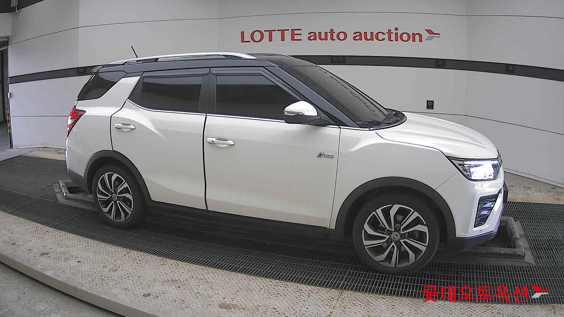 سانغ يونغ تيفولي