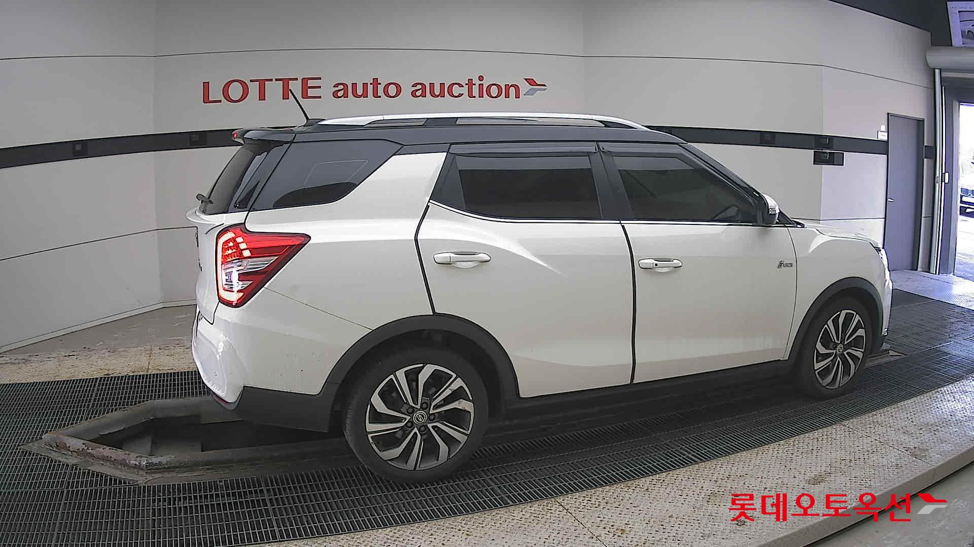 سانغ يونغ تيفولي