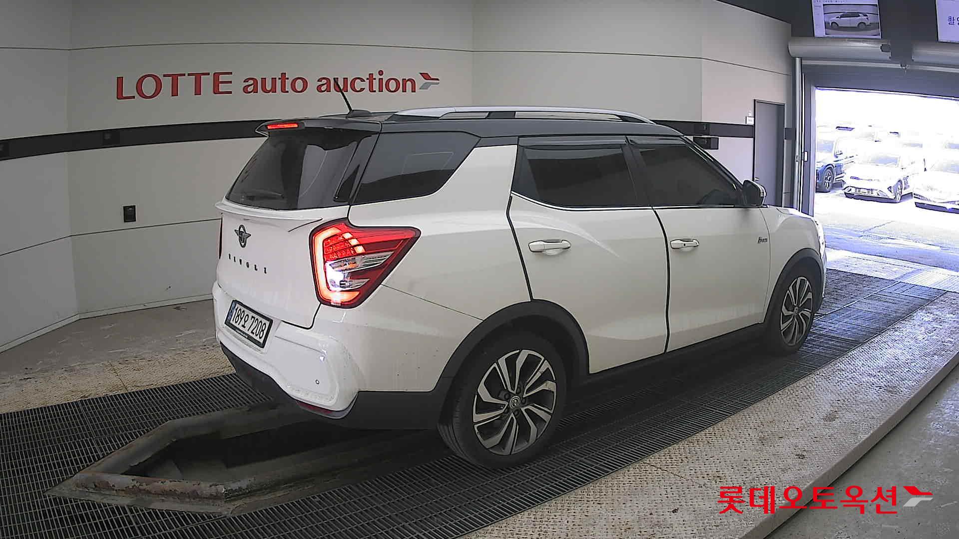 سانغ يونغ تيفولي