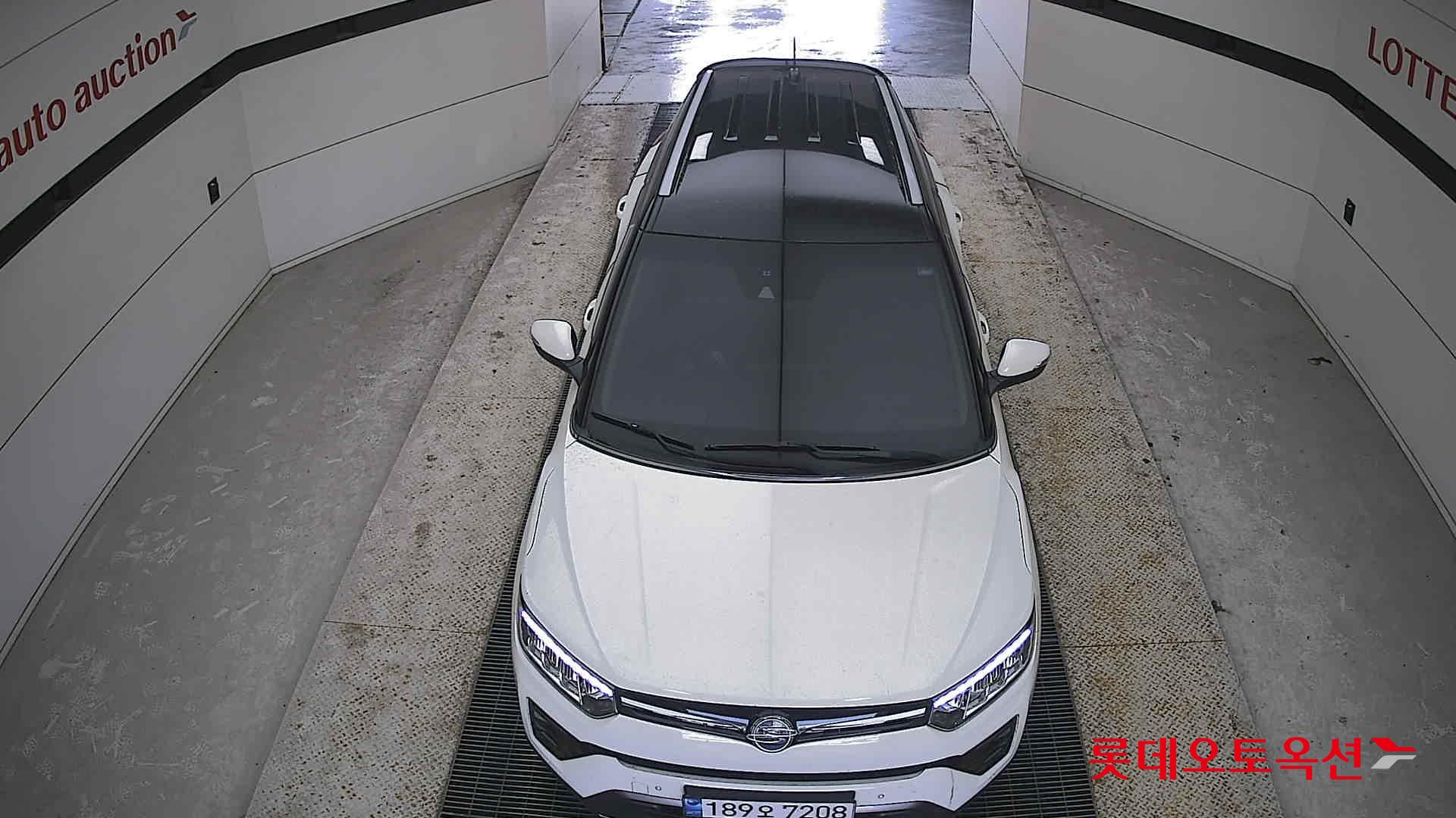 سانغ يونغ تيفولي