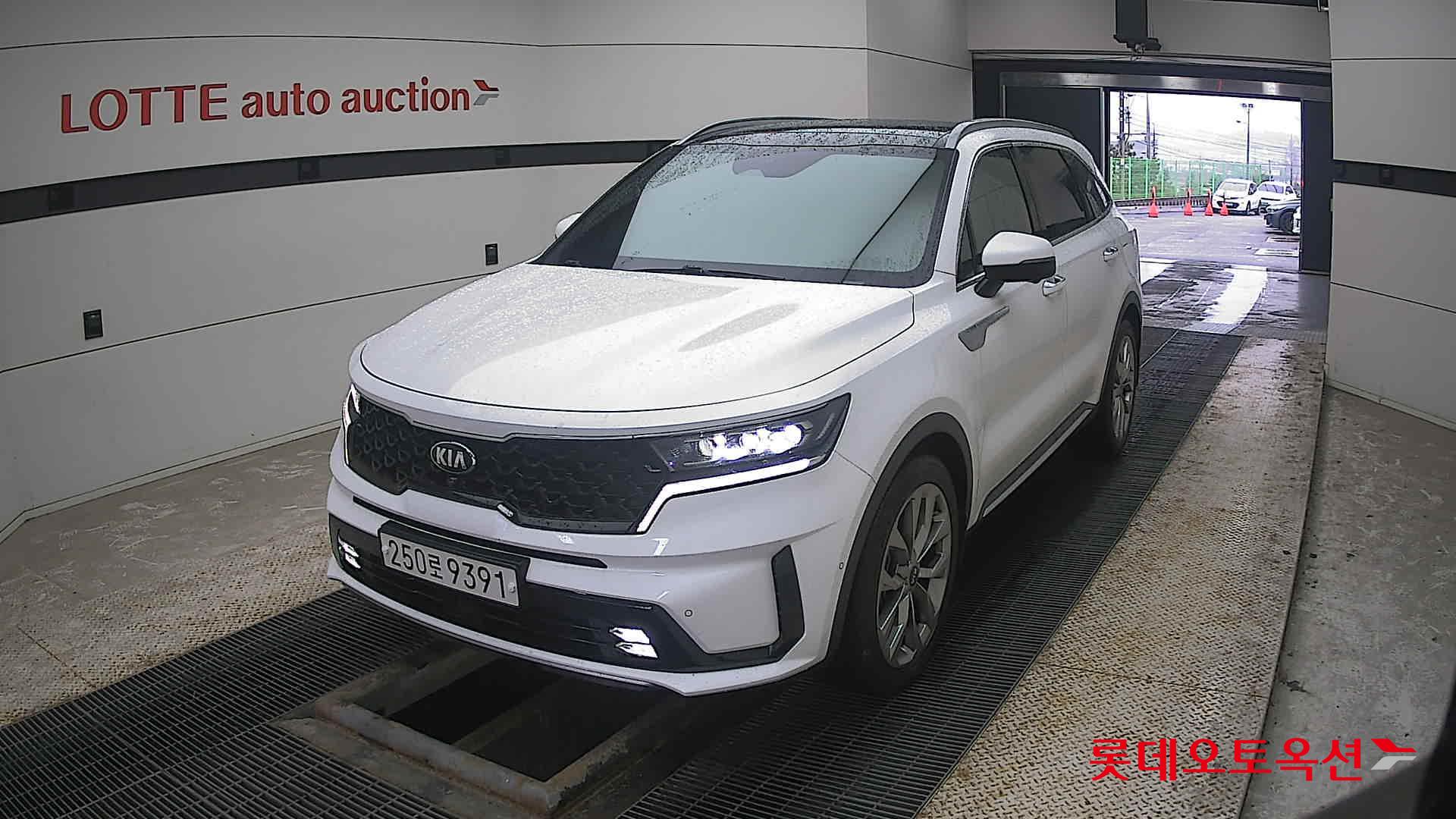 Kia Sorento 2021 Белый из Кореи