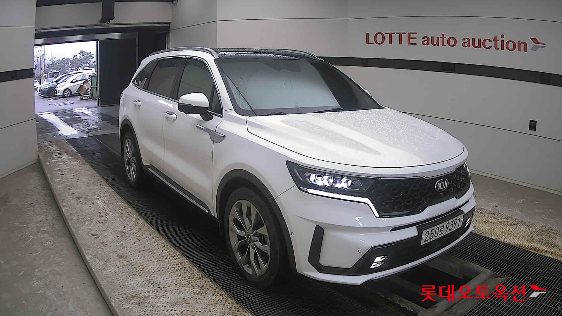 Kia Sorento 2021 Белый из Кореи, фото 2