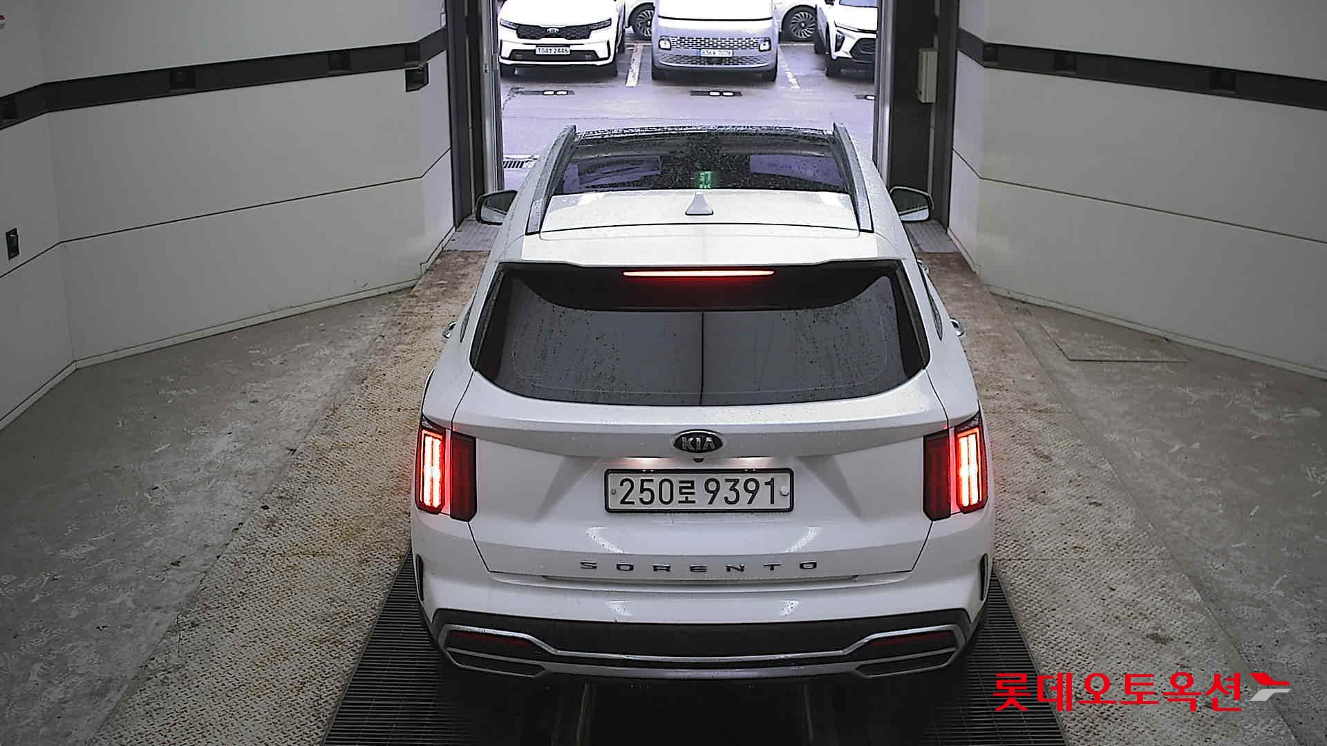 Kia Sorento 2021 Белый из Кореи, фото 5