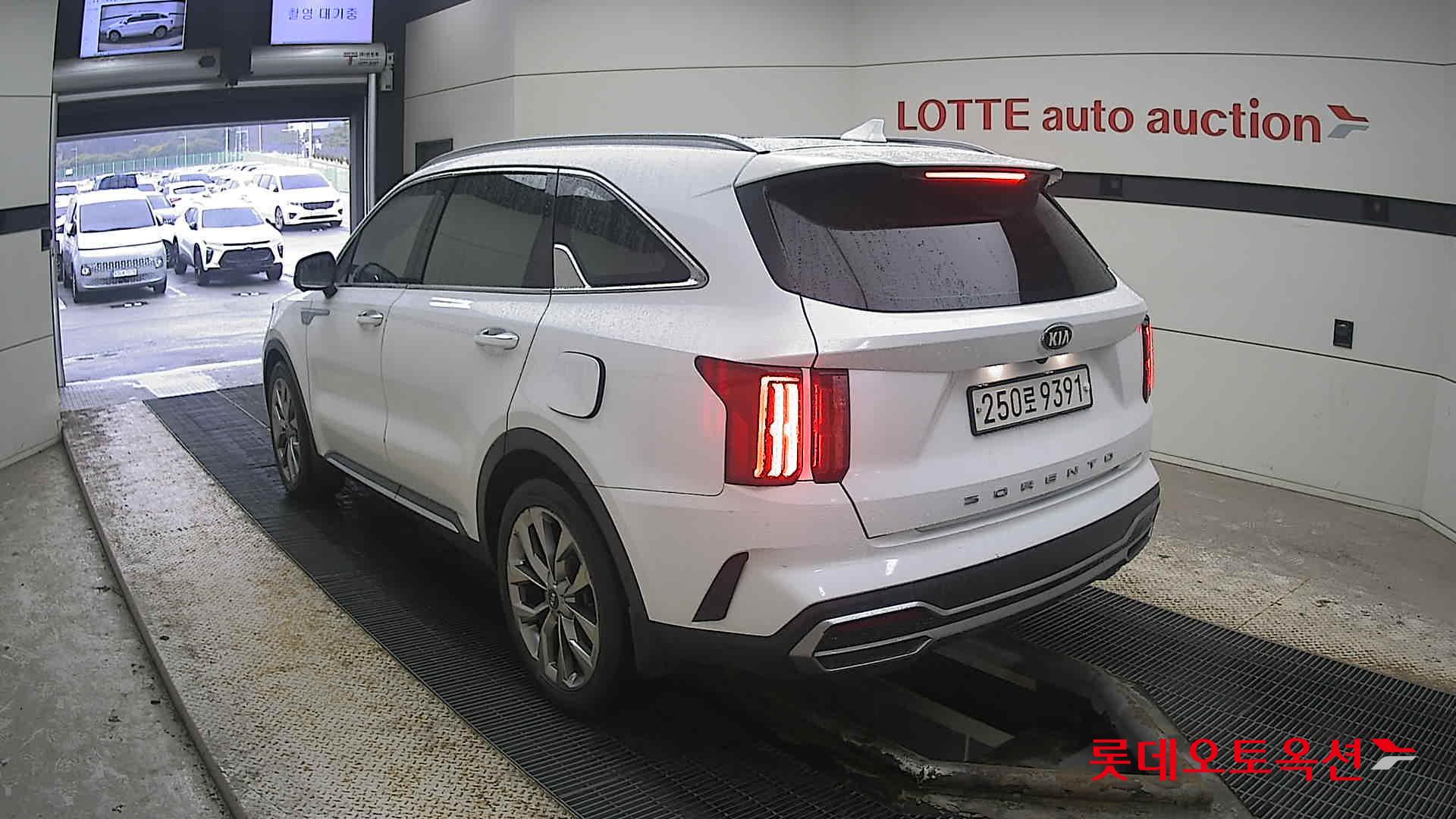 Kia Sorento 2021 Белый из Кореи, фото 6