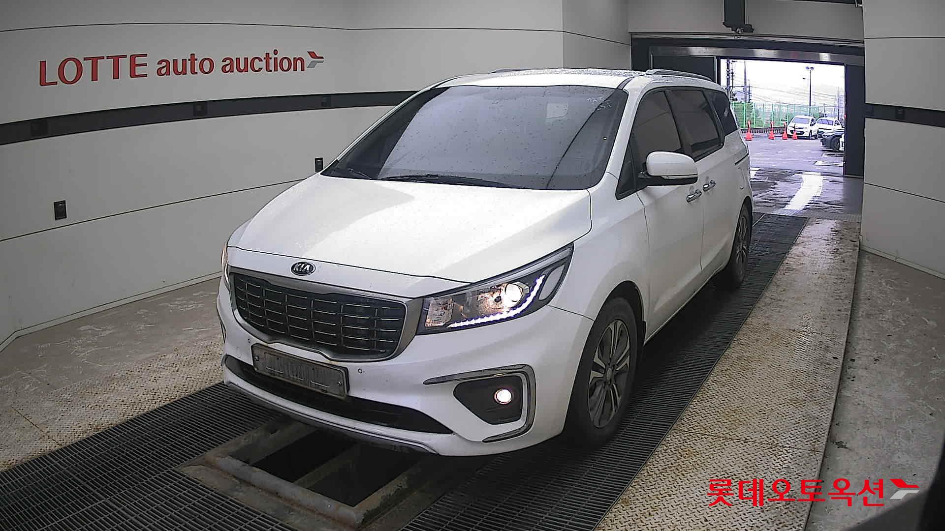 Kia Carnival 2019 Белый из Кореи