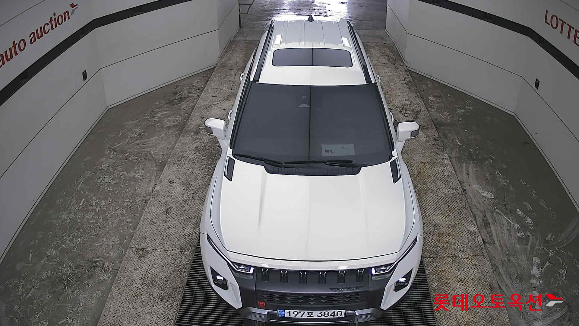 سانغ يونغ توريس