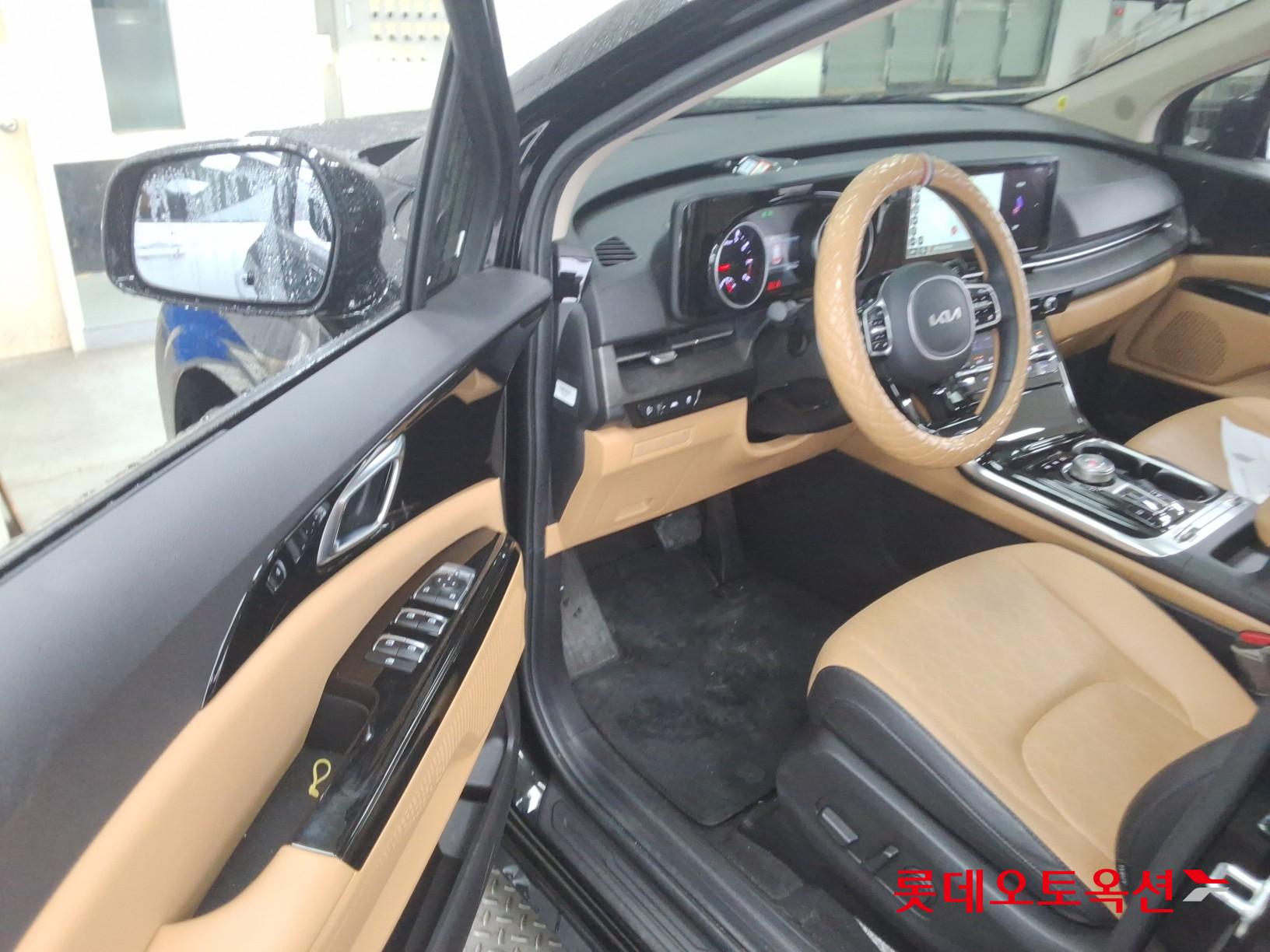 Kia Carnival - 36