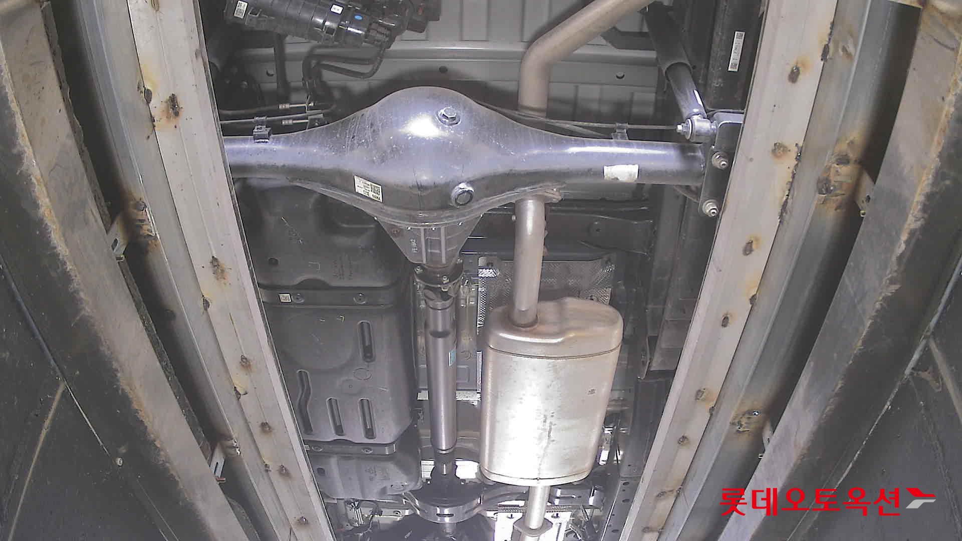 기아자동차 타즈만 2026 - 이미지 2